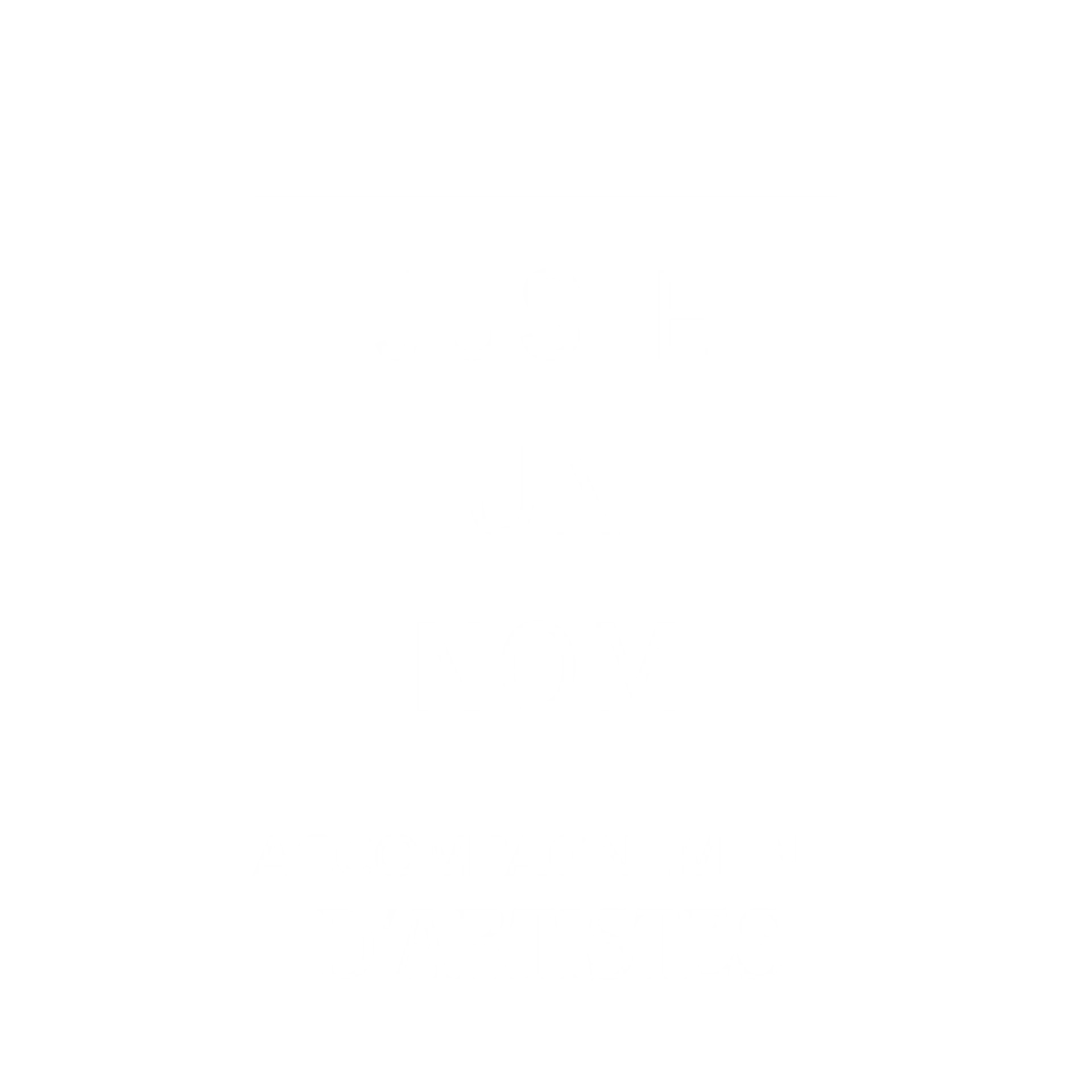 Juste un Nom — accompagnement d'artistes